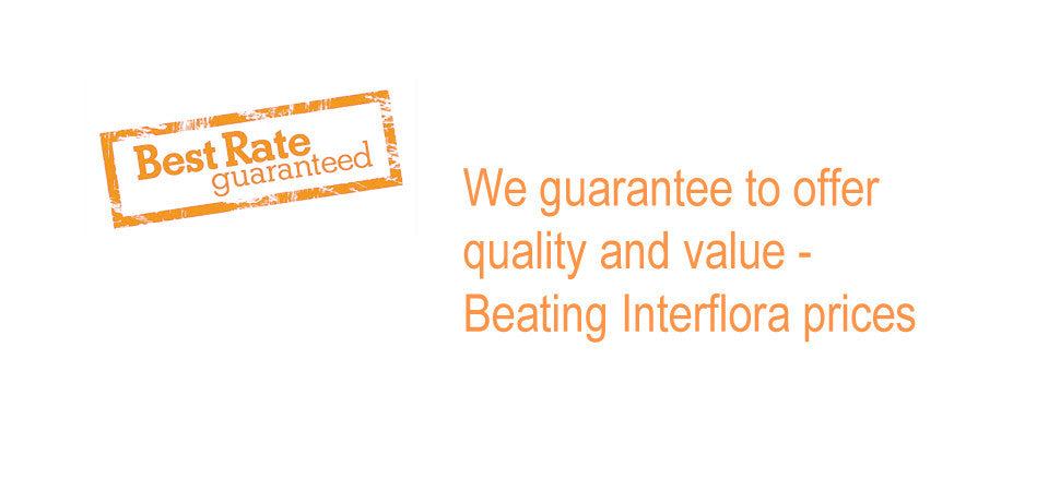 We guarantee to offer quality and value beating Interflora prices