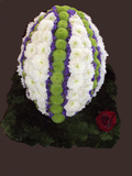 Rugby ball tribute - Alan Brown Flowers