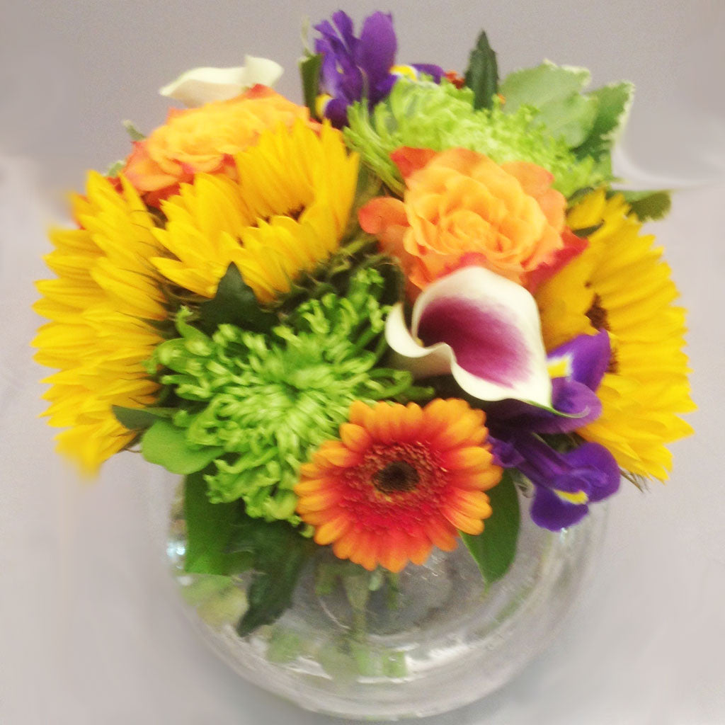 Bright Coloured Vase - Alan Brown Flowers
