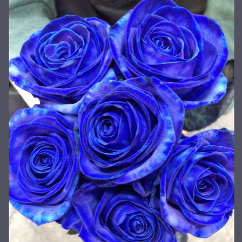 Blue Roses - Alan Brown Flowers