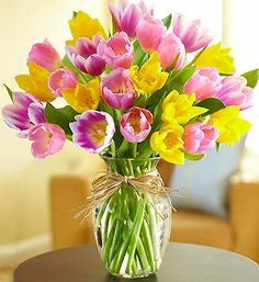Spring tulips - Alan Brown Flowers